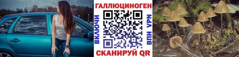 наркошоп Шенкурск Галлюциногенные грибы мухоморы